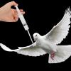 POPETPOP 4-Piece Plastic Liquid Dispensers for Pigeons and Birds view 4