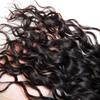 AuokMar Brazilian Natural Black Water Wave Human Hair Bundles, 2-Pack view 4
