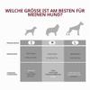 OUTSIDER Elevated Dog Bed for Large Dogs with Steel Frame view 4