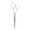 FILFEEL Professional Hair Cutting Scissors Set with Stainless Steel Blades view 1
