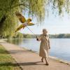 Adjustable Bird Harness with Leash for Pets view 3