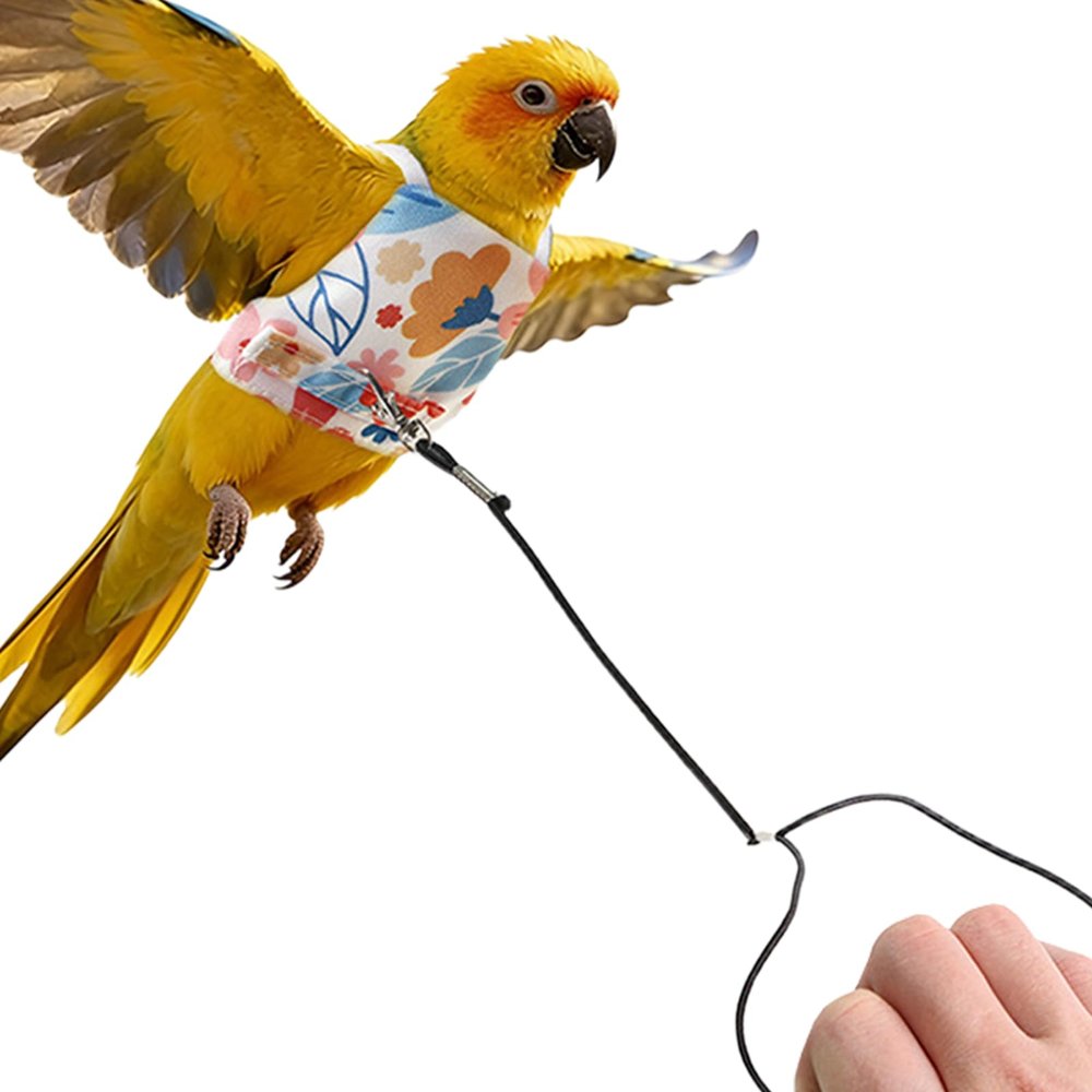 Adjustable Bird Harness with Training Leash