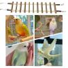 Bird Ladder with Hooks for Cages view 4