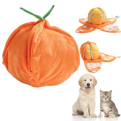 Orange Hide and Seek Plush Dog Toy
