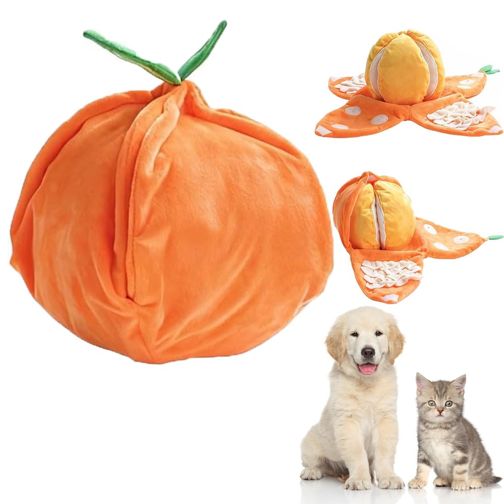 Orange Hide and Seek Plush Dog Toy