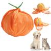 Orange Hide and Seek Plush Dog Toy view 1