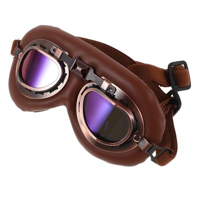Alasum Dog Sunglasses for Small Dogs, Foldable Windproof Pet Glasses with Adjustable Strap, Lightweight UV Protection for Outdoor Use and Travel
