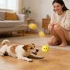 Generic Dog Toy Ball, Rolling Chew Ball for Dogs view 2