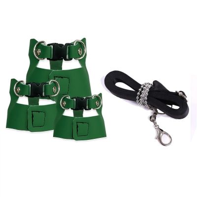2026 Squirrel Leash and Harness for Small, Medium, and Large Squirrels, Adjustable Soft Mesh Vest, No Reflective Strap, for Walks and Training (One Size)