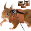 2026 Squirrel Leash and Harness for Small, Medium, and Large Squirrels, Adjustable Soft Mesh Vest, No Reflective Strap, for Walks and Training (One Size) view 3