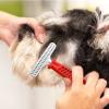 Dog Hair Removal Comb view 3
