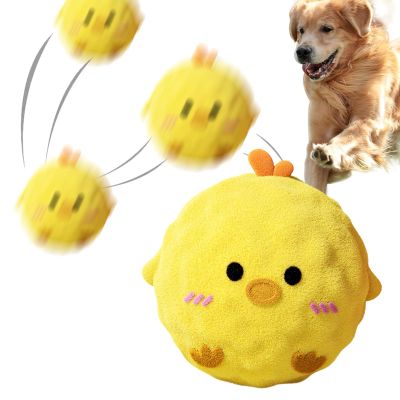 Bezijhr Squeaky Ball for Dogs