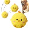 Bezijhr Squeaky Ball for Dogs view 1