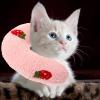 Levemolo Soft U-Shaped Cat Pillows, 4-Pack with Catnip view 3