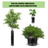 Tree Trunk Protector, Black Plastic Bark Guard for Young Trees view 3