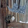 iplusmile Space-Saving Cat Hammock view 4