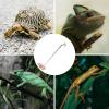 Long Aquarium Tweezers for Reptile Feeding view 4