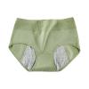 Generic Period Panties for Women with 4-Layer Leakproof Protection for Light Flow Days (Green, L) view 1