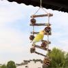 Bird Ladders for Parrots - Fun Wooden Step Play Decoration view 2
