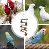 Bird Ladders for Parrots - Fun Wooden Step Play Decoration view 4