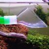 Generic Aquarium Lily Pipe 10 cm Adjustable Outlet view 3