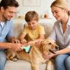 Self-Cleaning Shedding Brush for Dogs view 3
