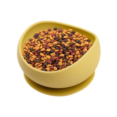Silicone Pet Bowl - Foldable Food and Water Dish