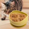 Silicone Pet Bowl - Foldable Food and Water Dish view 3