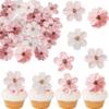 Nymora 40-Piece Cherry Blossom Cupcake Toppers view 1