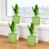 Generic Plant Stand for Aquarium view 3
