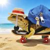 Bearded Dragon Outfits | 3-Piece Adjustable Lizard Backpack view 3