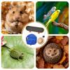 Bearded Dragon Outfits | 3-Piece Adjustable Lizard Backpack view 4