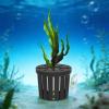 Wcybym Aquarium Plant Holder view 3