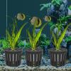 Wcybym Aquarium Plant Holder view 4