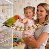 Wooden Bird Ladder Swing Bridge with Hooks view 4