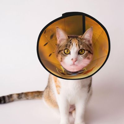Custom Pet Cone, Unique Design, Adjustable Recovery Collar for Cats and Dogs, 1 m