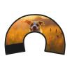 Custom Pet Cone, Unique Design, Adjustable Recovery Collar for Cats and Dogs, 1 m view 2