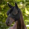 WALDHAUSEN Puck Breath Fly Mask, Black, WB view 3