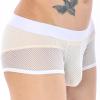 Tobysper Men's Transparent Mesh Boxer Briefs view 4
