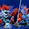 Aquarium Plant Tools and Rustproof Cleaning Tweezers view 3