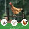Chicken Swing | Wooden Rooster Swing Toy view 2