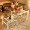 Chicken Perch for the Coop | Sturdy, Safe Wooden Play Structure view 2