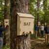 Bat Shelter for Outdoor Use view 3