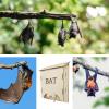 Bat Shelter for Outdoor Use view 4