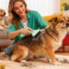 Dog Hair Brush - Gentle Pet Care Tool view 2