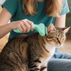 Dog Hair Brush - Gentle Pet Care Tool view 3