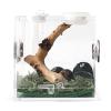 Acrylic Reptile Habitat Box view 1