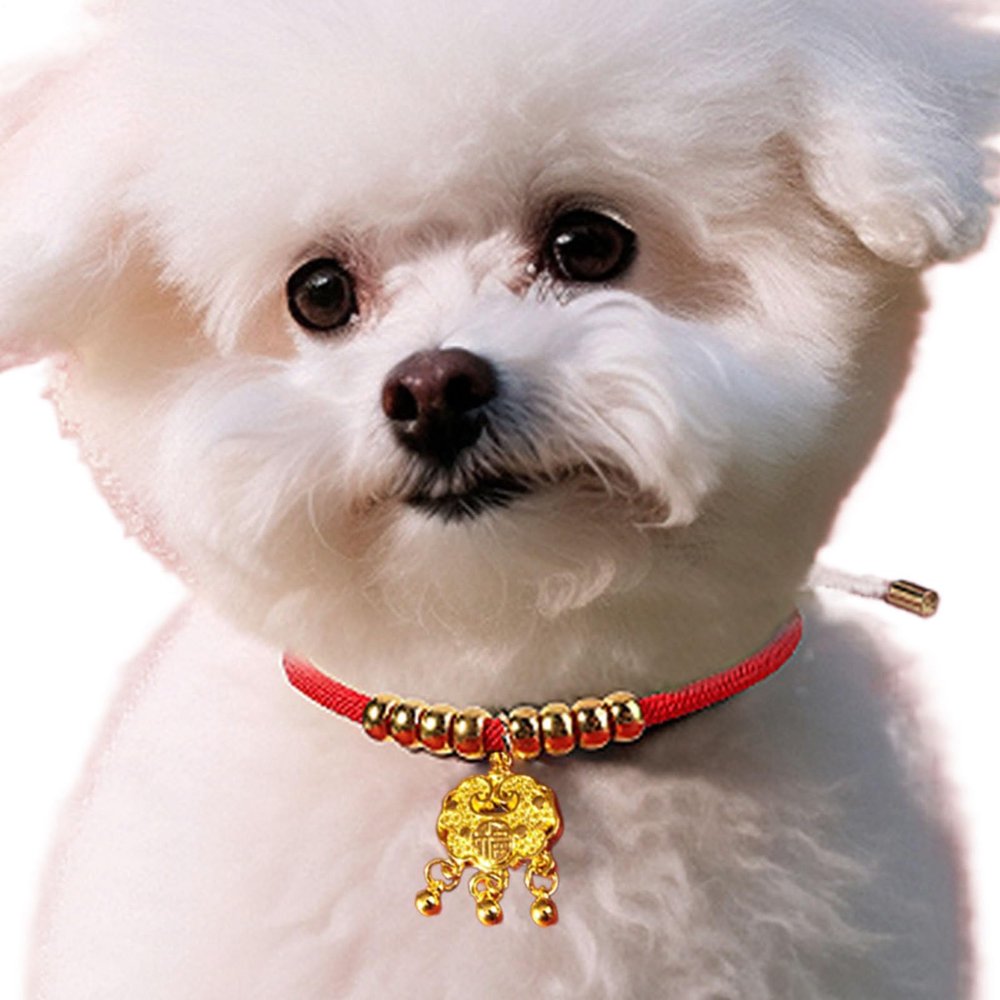 Happy New Year Pet Collar