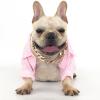 Exclusive Gold Dog Collar Set with Adjustable Chain view 2