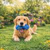 HAPPET Squeaky Bone Vinyl Blue 15cm Dog Toy view 2